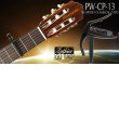 Каподастр Planet Waves Artist Classic